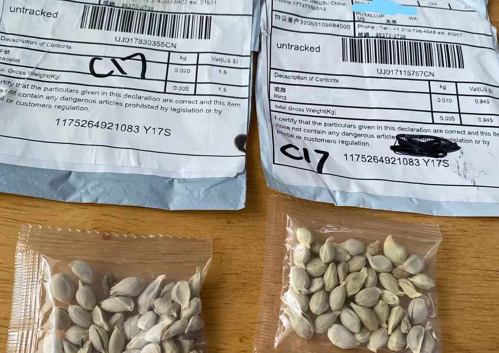 Warning: Don't Plant Chinese "Mystery" Seeds