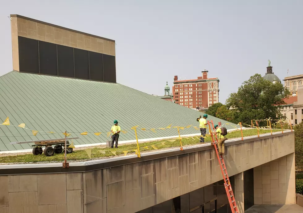 $2.1 Million Binghamton City Hall “Green Roof” Nears Completion