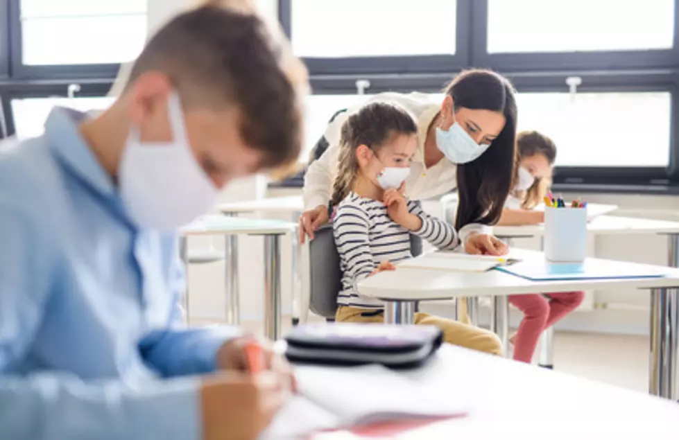 Schools Report Vaccinated Teacher Numbers