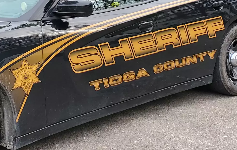 Tioga County Police Reform