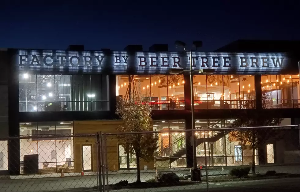 Beer Tree Shifts Most Production to Former Sears Site