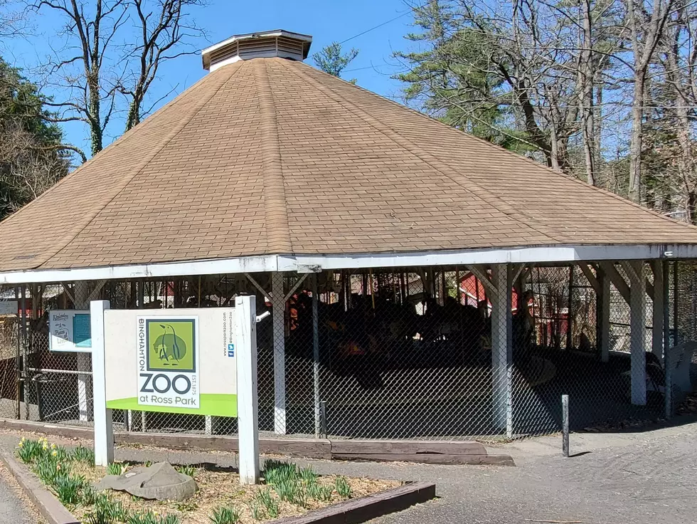Binghamton's Ross Park Carousel Won't Operate This Summer