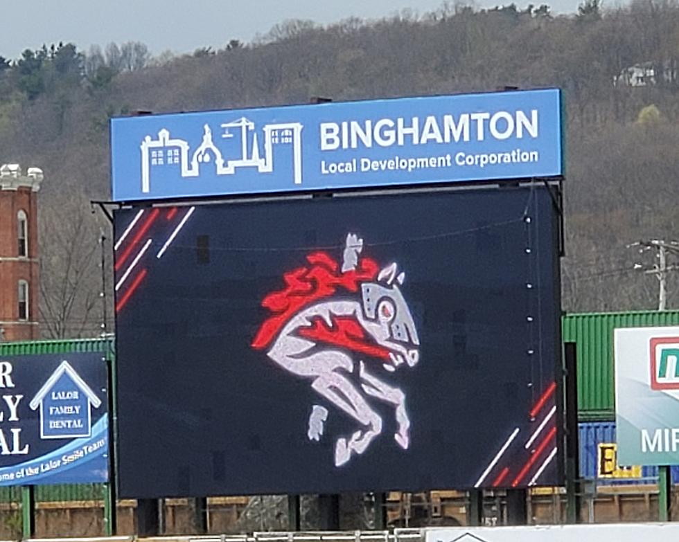 Binghamton’s Baseball Stadium May Be Getting a New Name