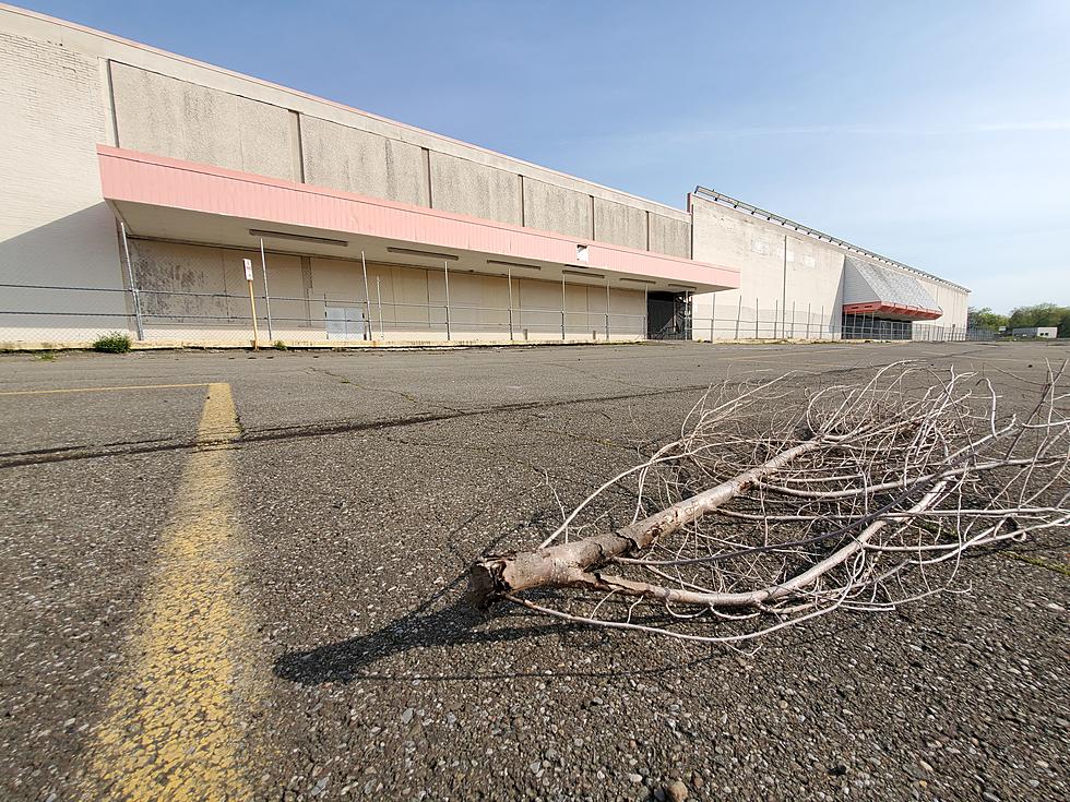 Abandoned Endicott Kmart Store to Be Renovated and Repurposed