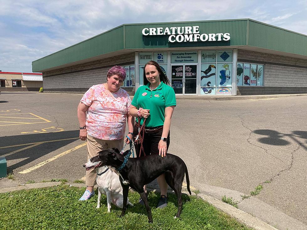 Kathy Whyte Chooses Creature Comforts To Meet Her Pups&#8217; Needs