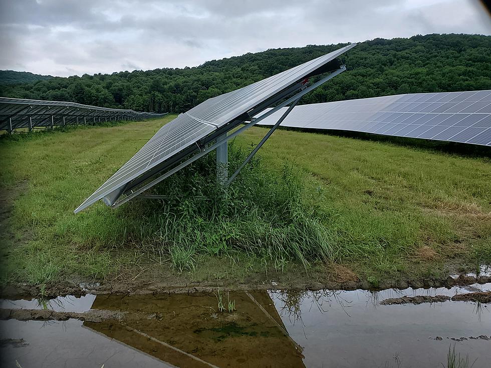 School District Tidies Up Area Around Maine Memorial Solar Field