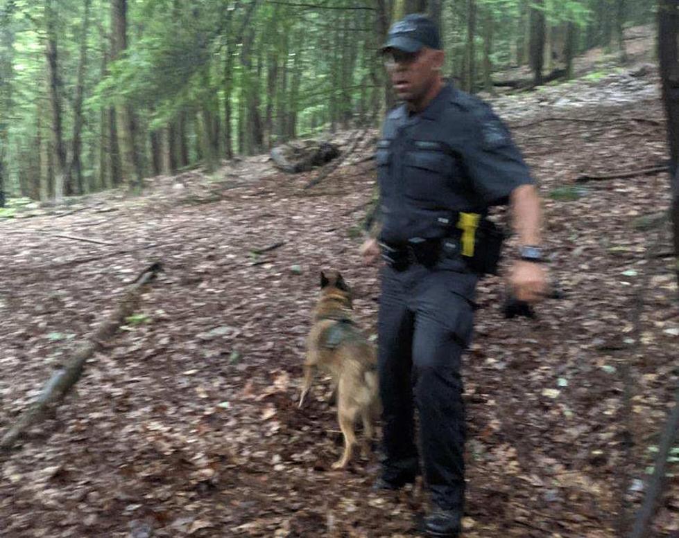 State Police K-9 Unit Finds Missing Otsego County Man
