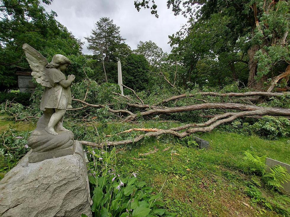 Storm Causes Damage Across Spring Forest Cemetery in Binghamton