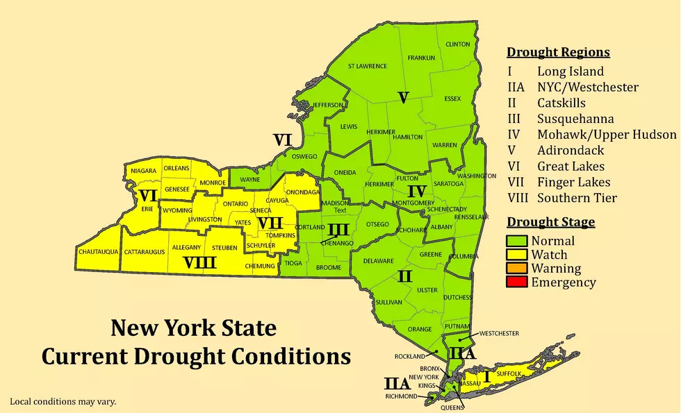 21 New York Counties Under Drought Watch