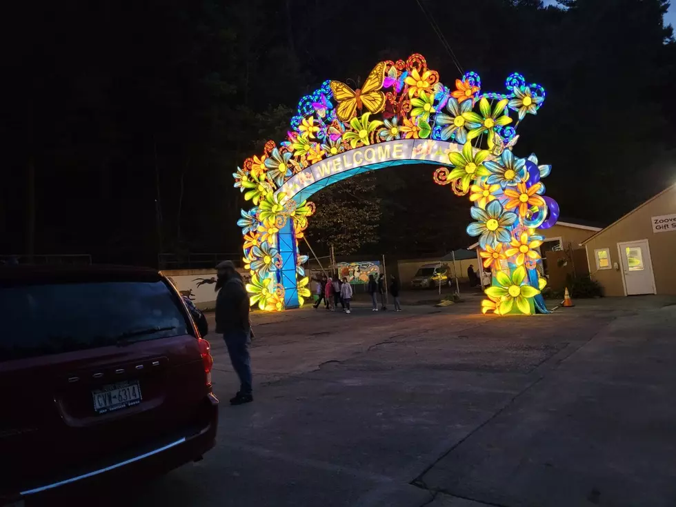 Take a Look: Photos From Final Days of Ross Park Zoo’s Illumination for Conservation Lantern Fest