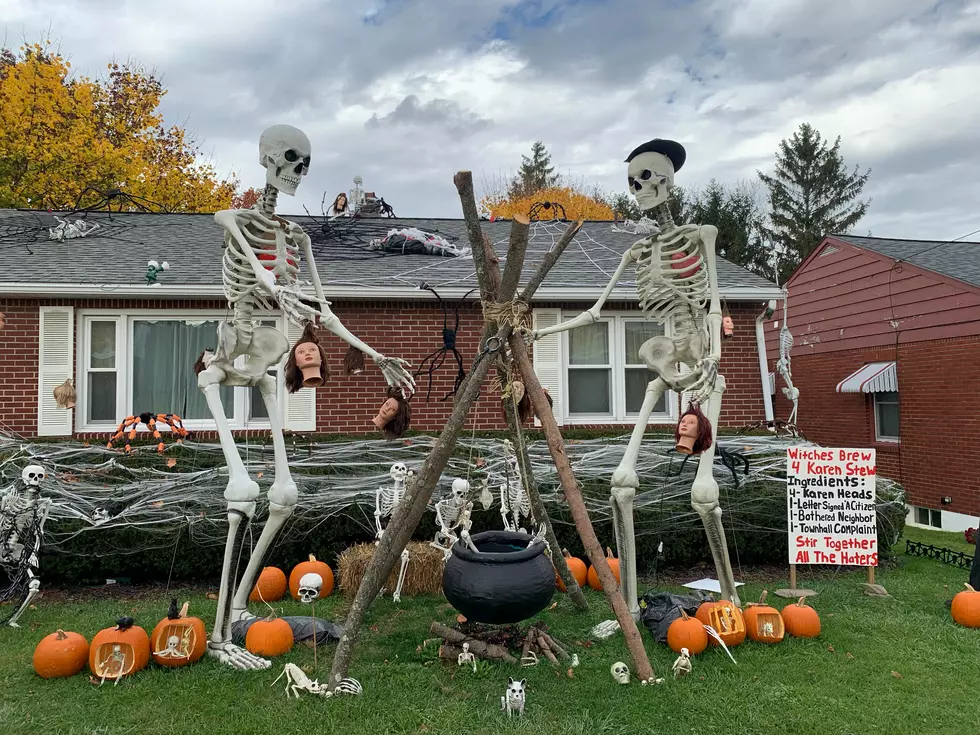 Boris the Skeleton, the Endicott Holiday Decoration With a Cause