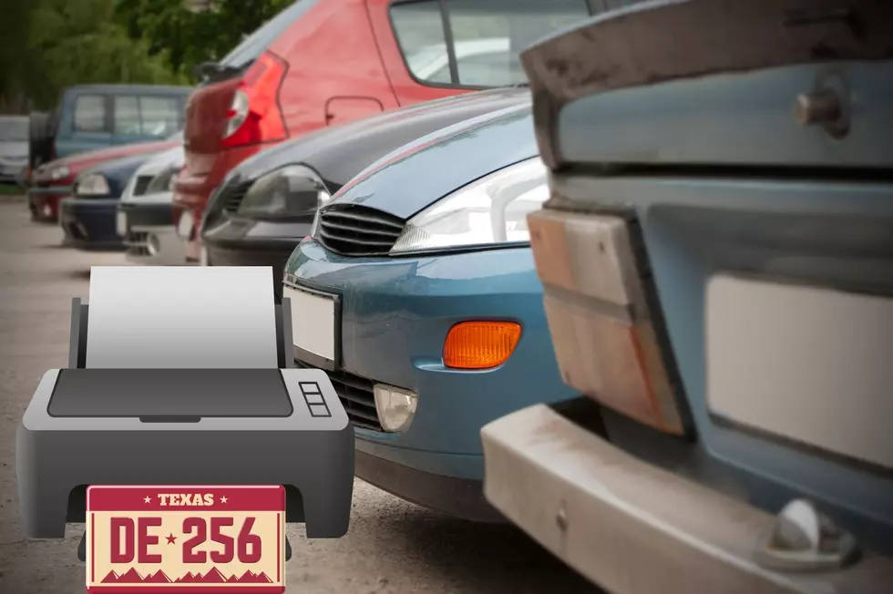 "Used Car King of New York" Pleads Guilty for Fake License Plates