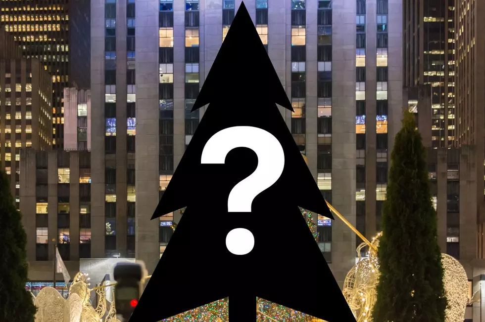 See This Year's Rockefeller Center Tree from Upstate New York