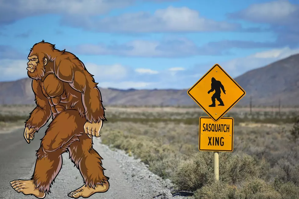 SUNY Cortland Teaches a Course About Bigfoot