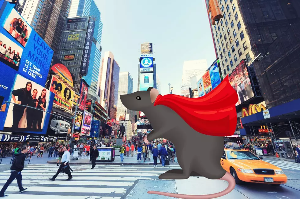 Are "Super Rodents" on Their Way to New York?