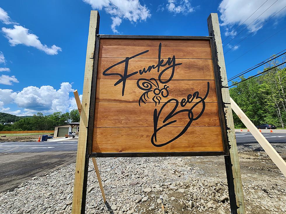 Vestal’s Buzzing About Impending Opening of “Funky Beez” Eatery