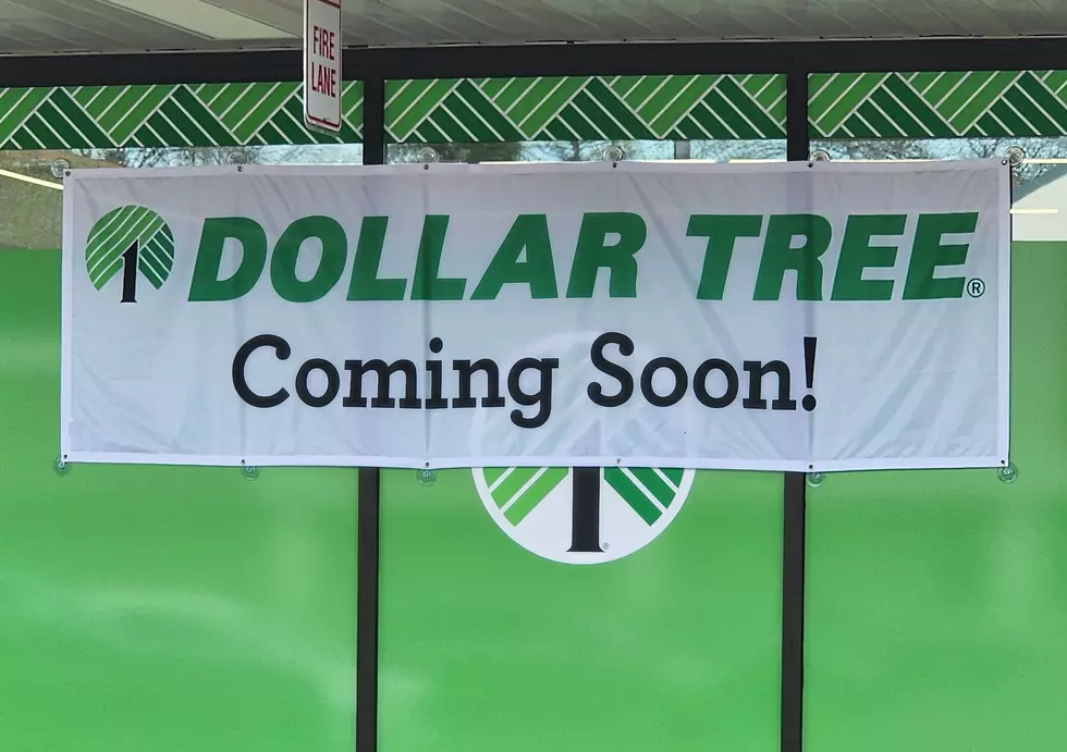 "Dollar Tree" Opening Near Binghamton University Vestal Campus