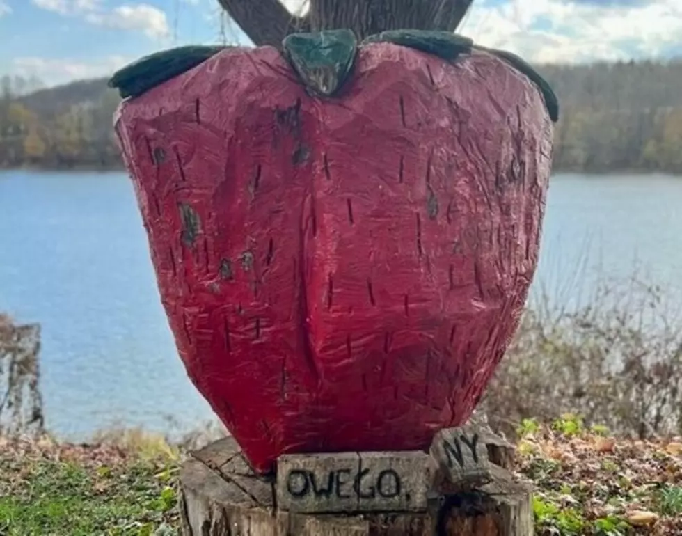 Help Rebuild Owego New York’s Iconic Strawberry