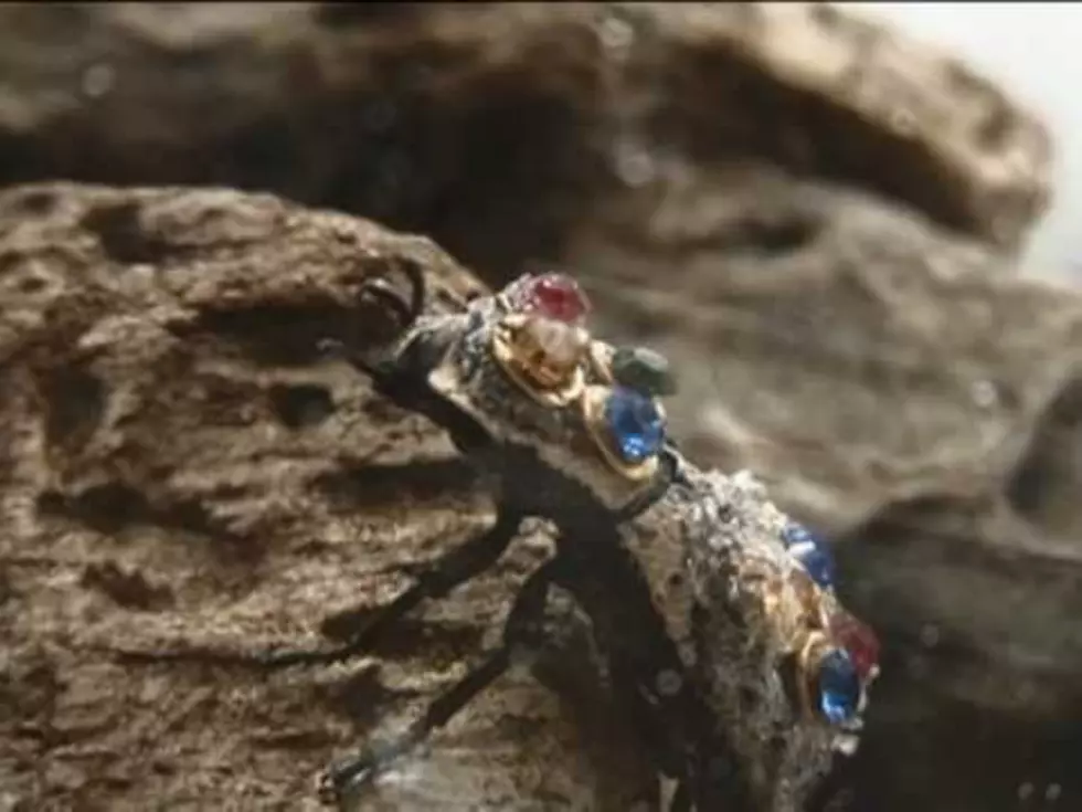 Daily Dose of Weird: Live Beetle Jewelry All the Rage South of the Border [VIDEO]