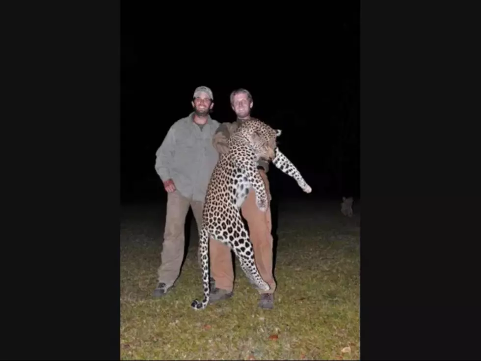 Killing Elephants &#038; Large Cats, Just Another Outing For Donald Trumps Sons