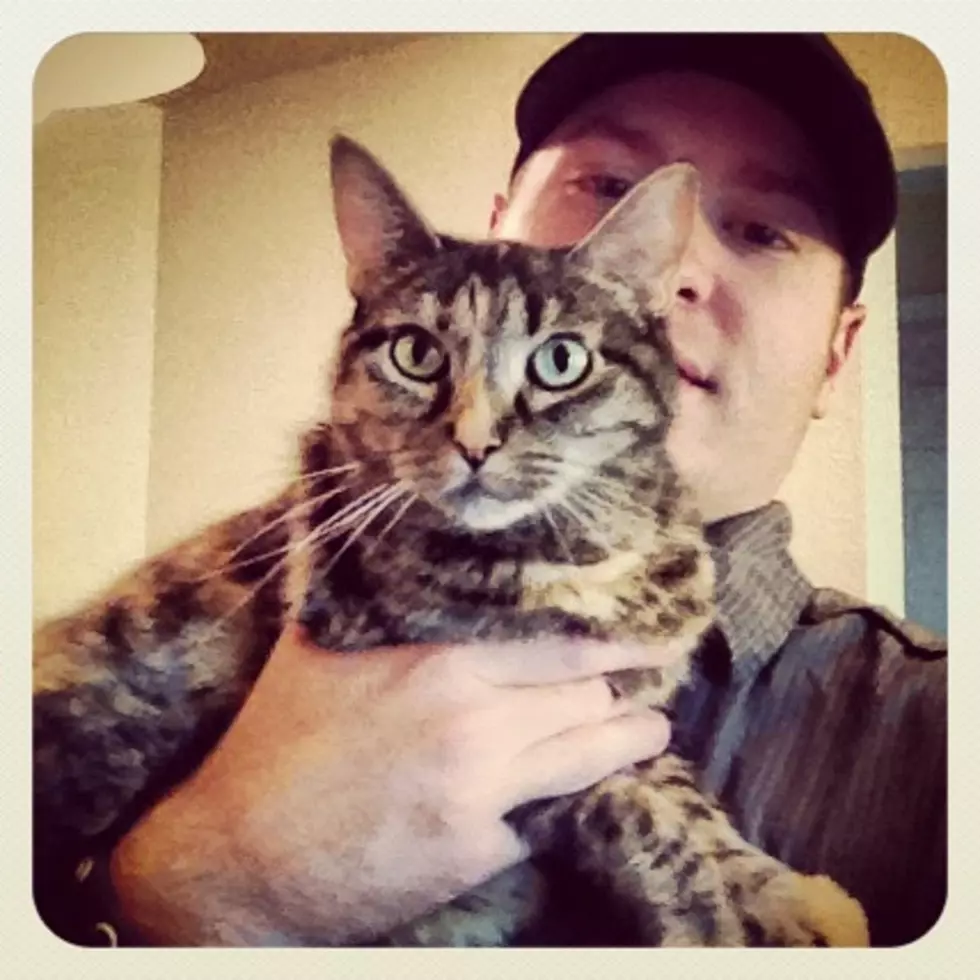 Derek Celebrates “Hug Your Cat Day”