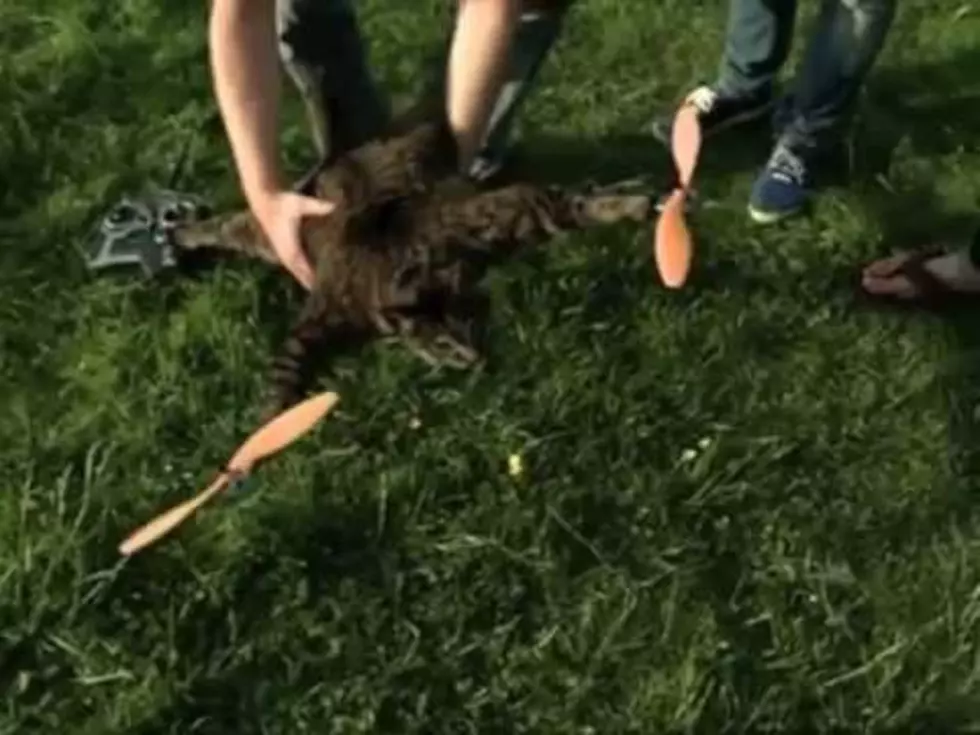 Dutch Artist Bart Jansen Makes Helicopter from His Dead Cat – Daily Dose of Weird [VIDEO]