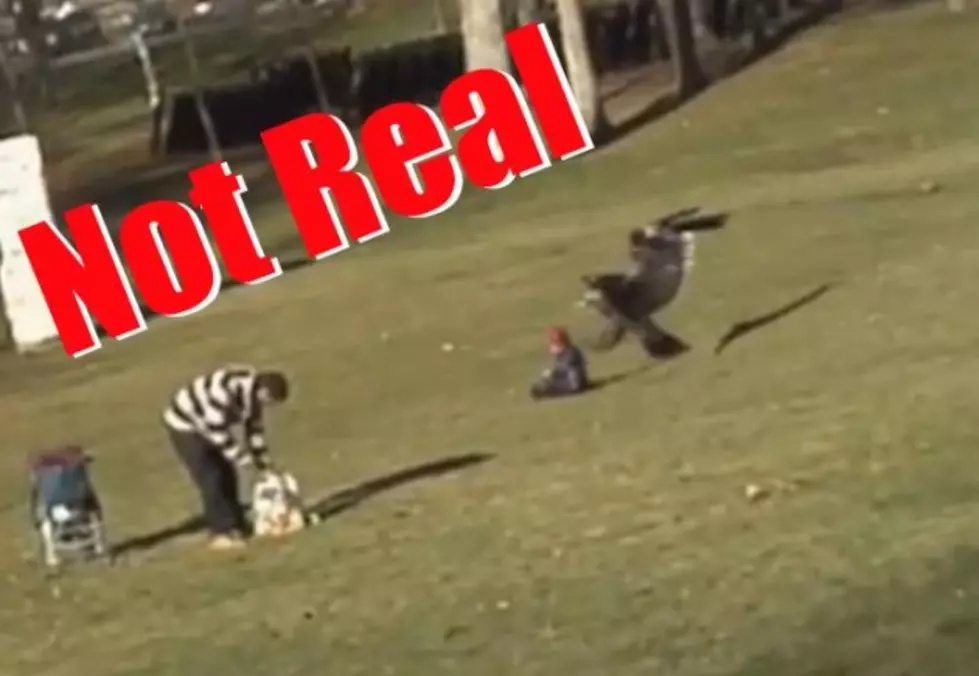 Video Of Eagle Nearly Snatching A Baby Turns Out To Be A Fake