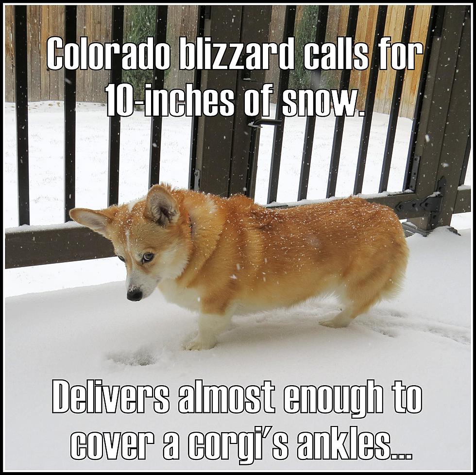 Colorado’s April ‘Blizzard’ – Best Memes
