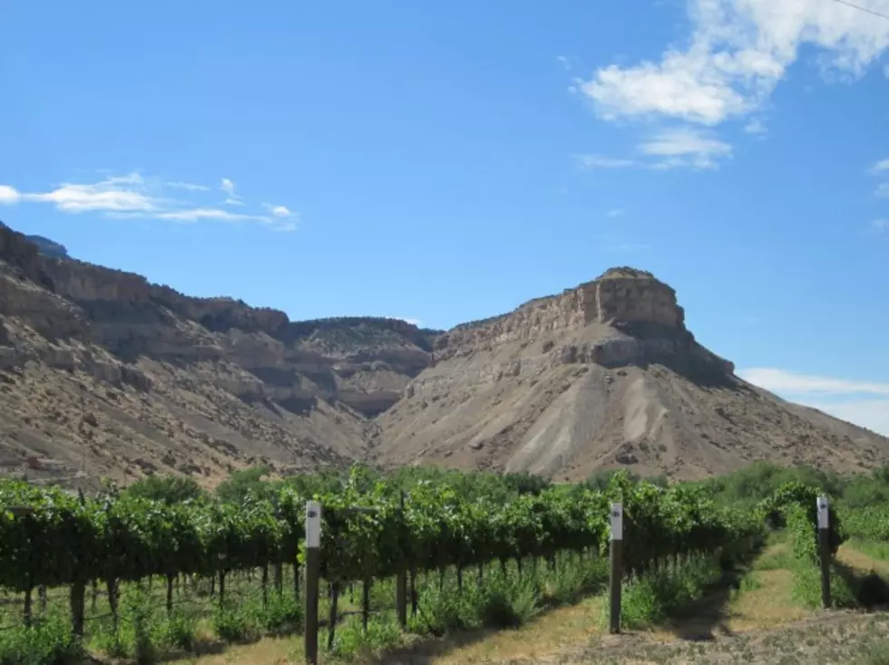 Wine Country in Palisade/Grand Junction &#8211; Colorado Trip Advice [Guide]