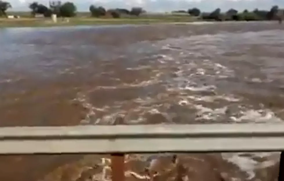 Flooding Hitting Milliken Hard, HWY 257 Bridge Washed Out, Animals Stranded