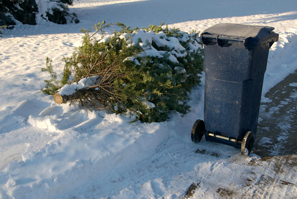 Drop-Off Locations For Christmas Tree Recycling In Fort Collins 2013-2014