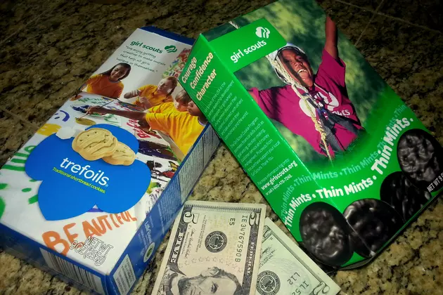 Where Can You Buy Girl Scout Cookies in Fort Collins and Greeley