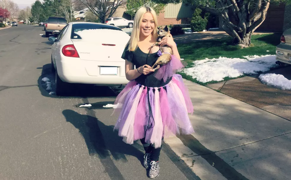 DIY No-Sew Tutu for the Insane Inflatable 5K [VIDEO]