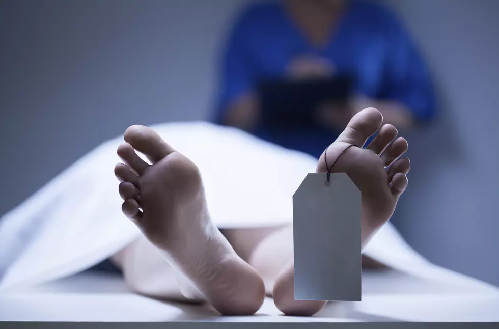 Woman Finds Dead Body in Newly Bought Freezer [VIDEO]