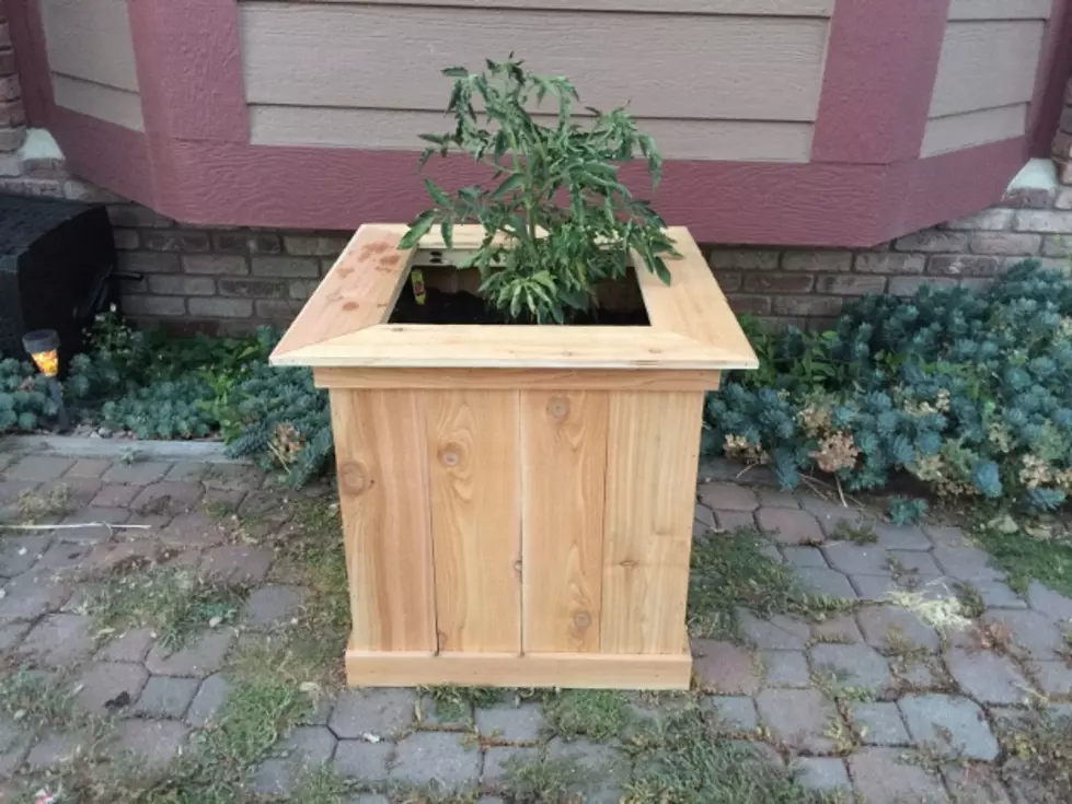 DIY: Large Cedar Planter Box Build