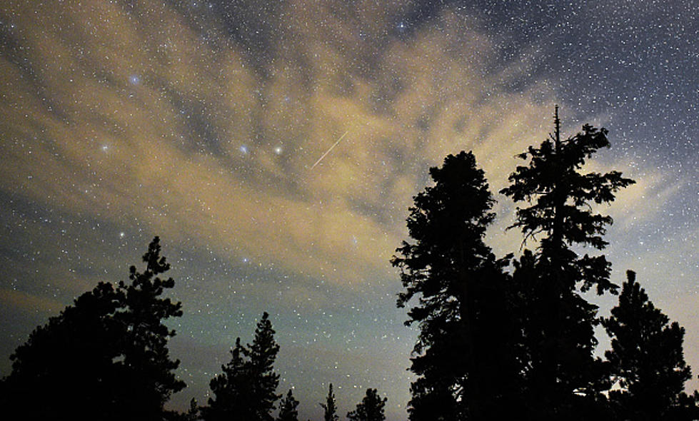 UFO or Meteor Shower in Fort Collins?
