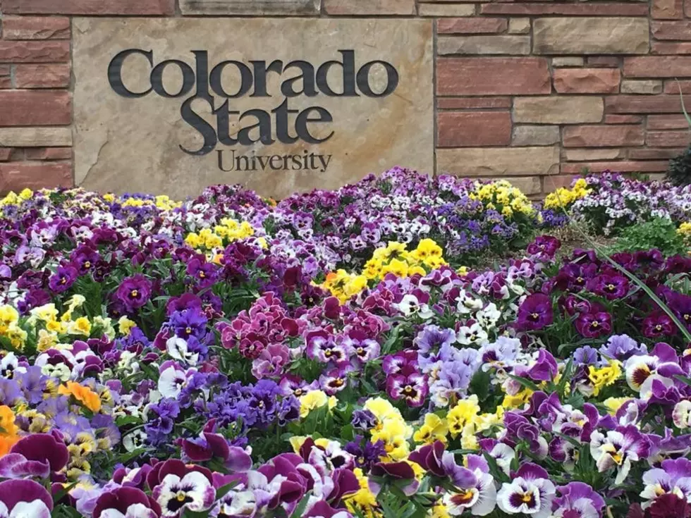 Colorado State University Switching to Online Classes Due to Coronavirus Concerns