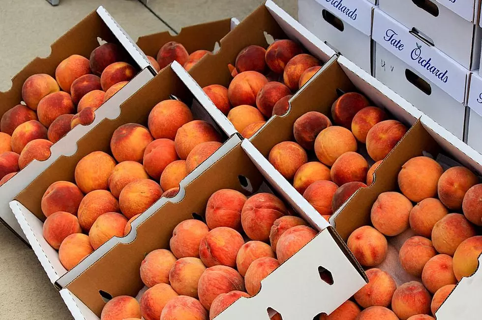 Palisade Peaches Are Making the Return to Fort Collins After All
