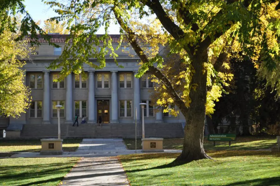 CSU Plans Mandatory COVID Screenings For Students, Staff