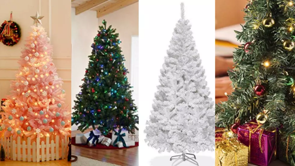 Here’s a Christmas Tree For Every Northern Colorado Home