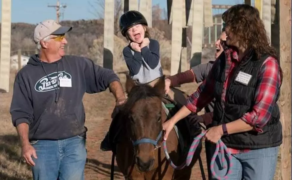 Move Over Dogs, These Therapy Horses are Making a Difference in NoCo