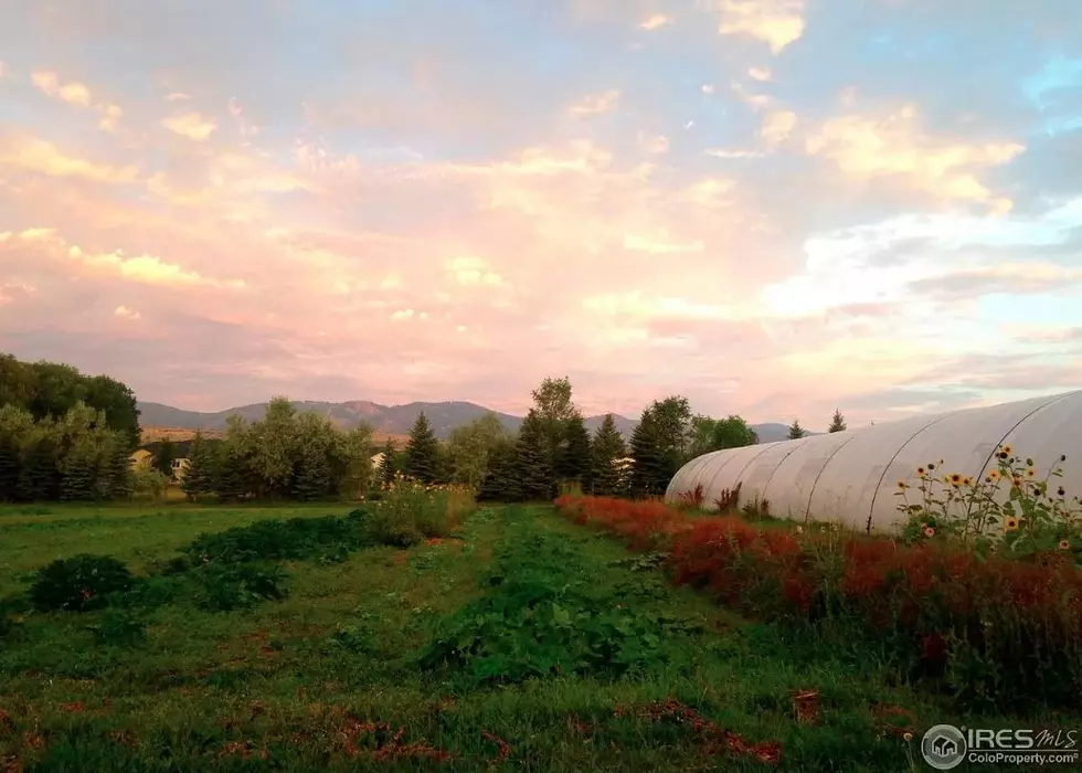 Fort Collins CSA Farm Listed for $2.9 Million