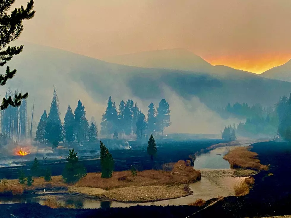 About 29,000 Acres of Rocky Mountain National Park Has Burned