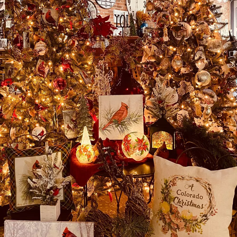 NoCo Business Spotlight: Memory Lane Antiques Has the Perfect Holiday Gifts