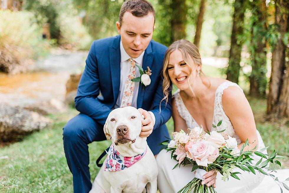 This Fort Collins Bride Walked Down the Aisle With Adorable Rescue Dogs