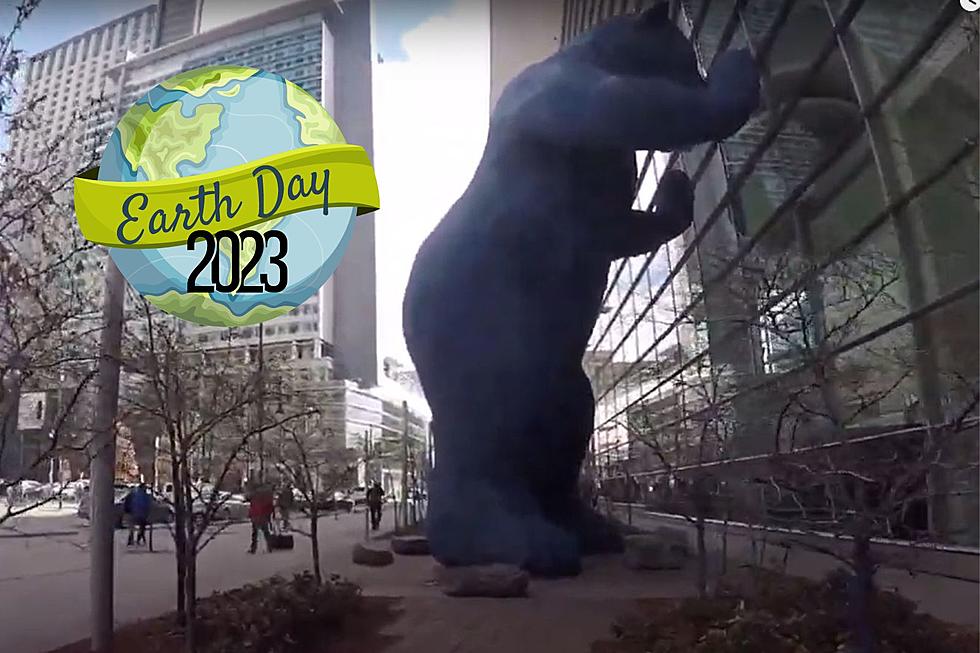 Free Colorado Earth Day Celebration At The Famous Blue Bear