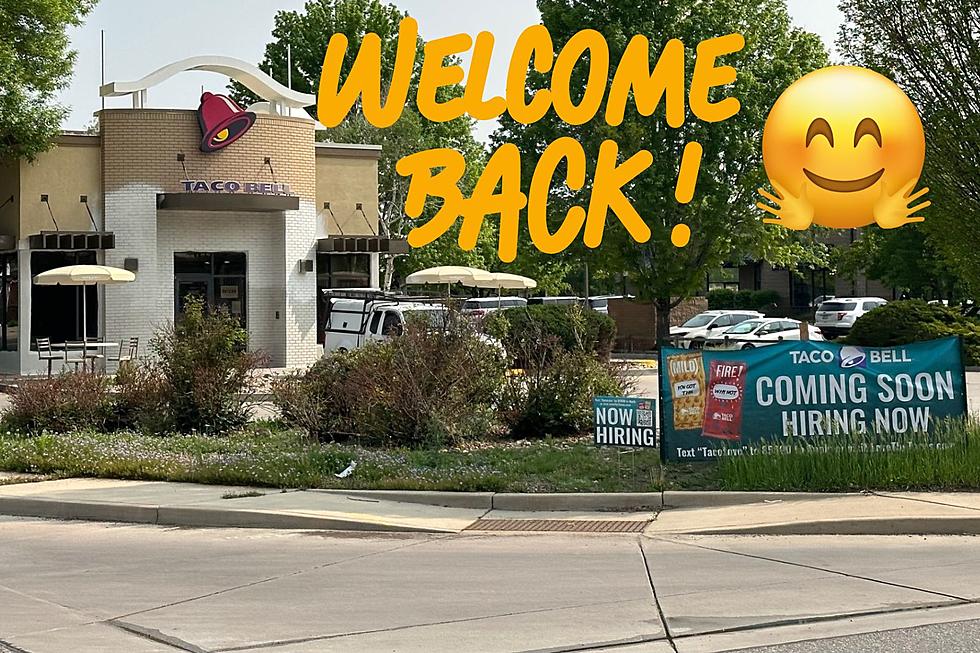 Popular Windsor Taco Bell Is Reopening After Being Seized