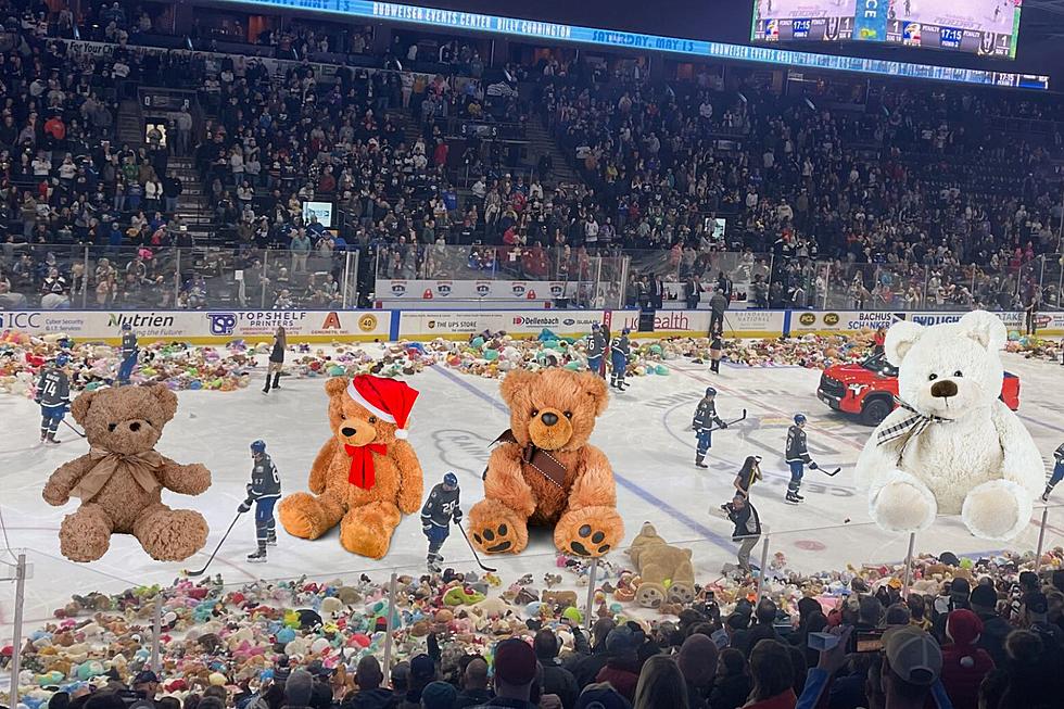 It's Teddy Bear Toss Time This Weekend In Colorado