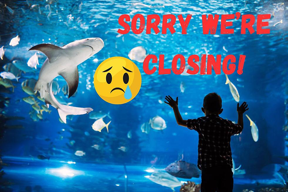 Popular Colorado Aquarium Is Closing For Good