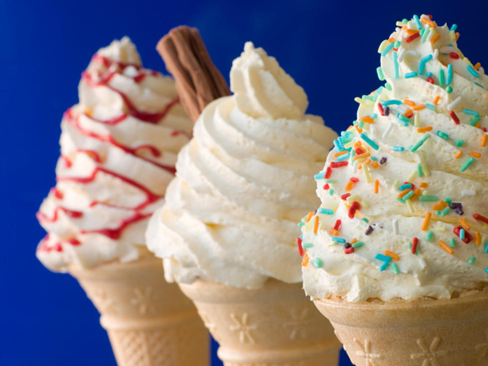 Vote Here For Your Favorite Ice Cream Spot in The Southern Tier!
